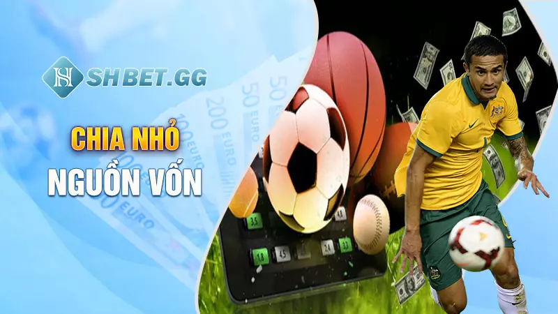 Trang cá cược bóng đá Ben88 - Nơi hội tụ các tín đồ sân cỏ 7 Chia nhỏ nguồn vốn