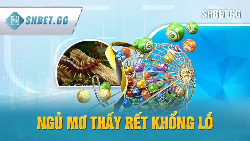 Nằm mơ thấy rết đánh số mấy - Điềm báo tốt hay xấu? 4 Ngủ mơ thấy rết khổng lồ
