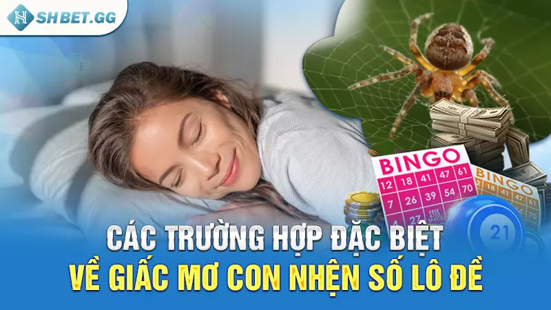 Con nhện số lô đề và điềm báo ẩn chứa trong giấc mơ 6 Các trường hợp đặc biệt về giấc mơ con nhện số lô đề